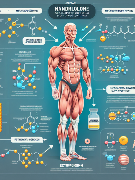 Cómo actúa Nandrolona en cuerpos ectomorfos