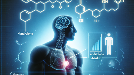 Nandrolona y su efecto sobre la libido